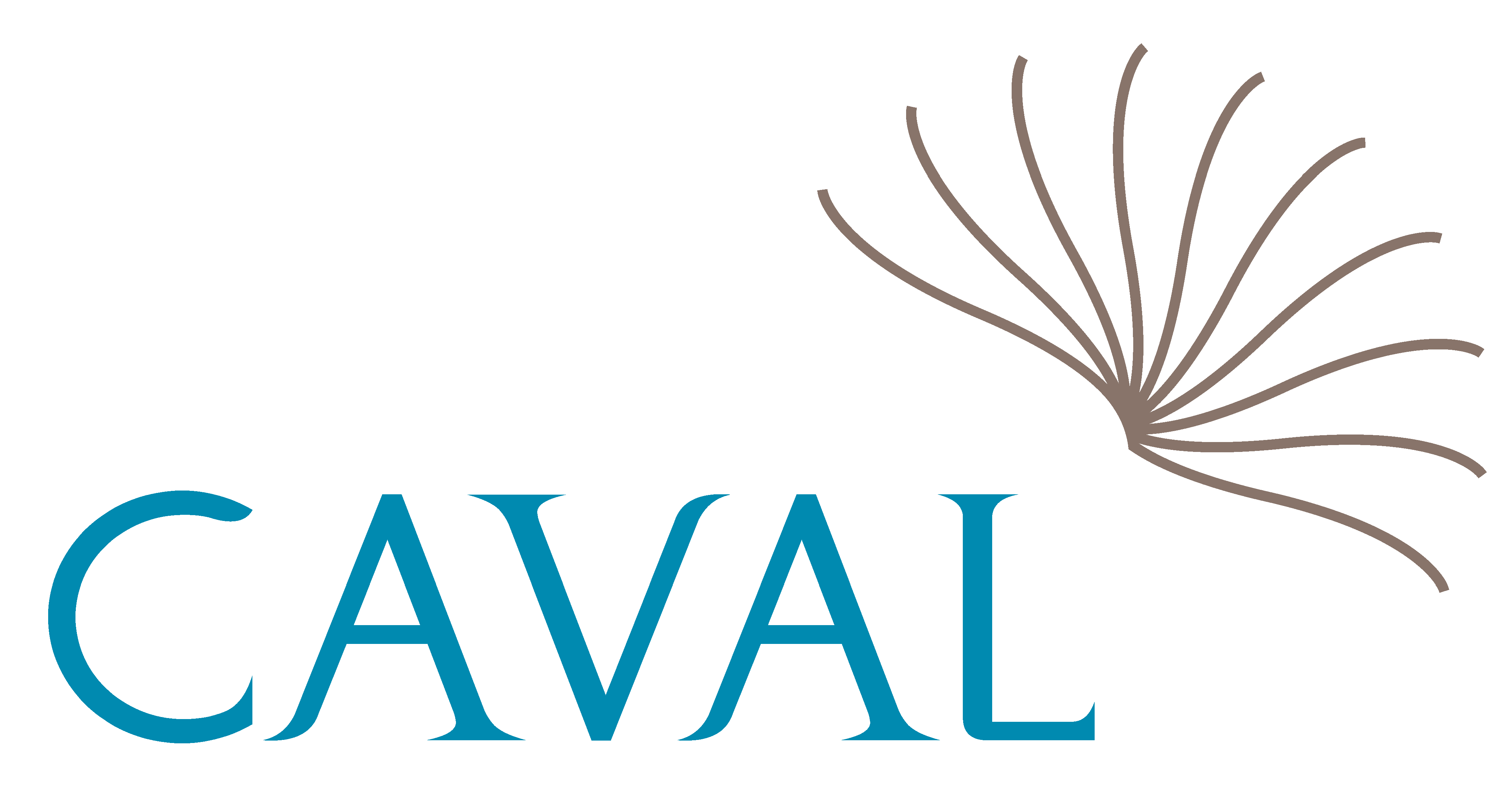 CAVAL logo
